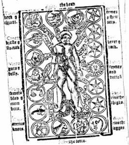 The anatomy of a mans body, as the parts thereof are governed by the 12 celestial signs