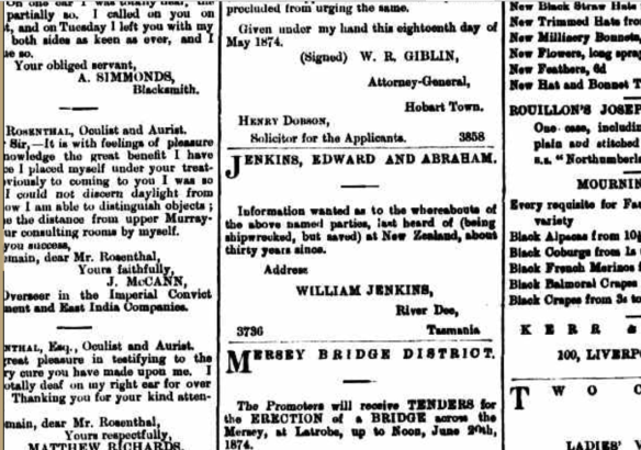 William Jenkins’s advert in the Mercury (Hobart), week beginning 16 May 1874, p. 1 